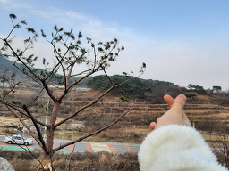 Dowon93 (도원93) 2
