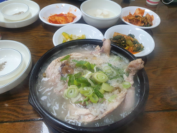 Neulbom (늘봄) 1