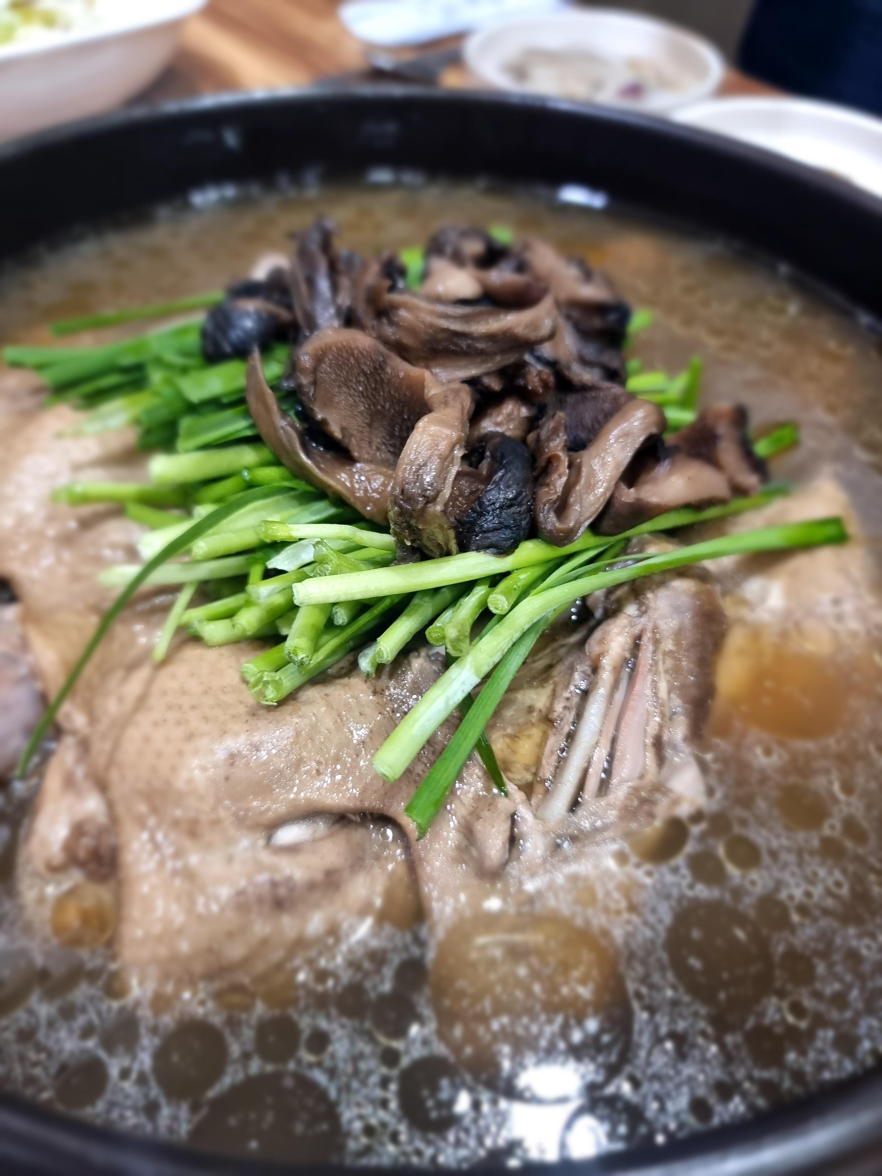 천연애 5