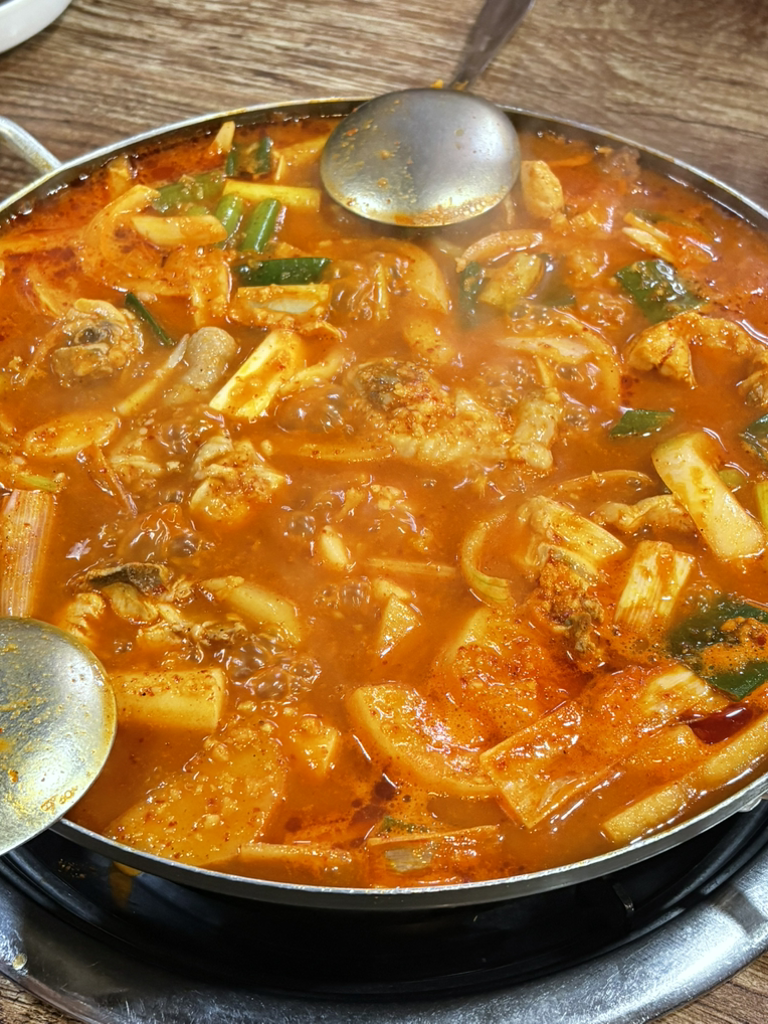 오죽이네 사진 5
