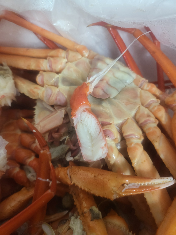게창고 대표 사진
