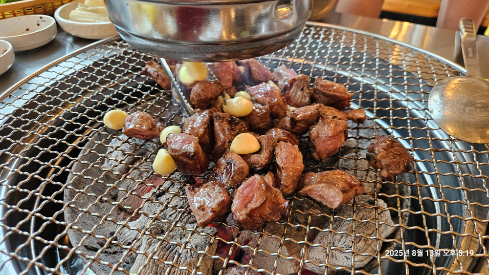 민들레 화로 5