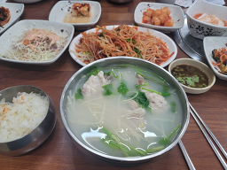 진화복국 4