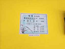 난향 5