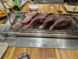 초원양꼬치 4