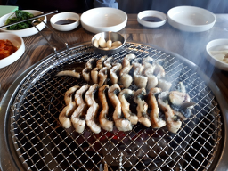 아름드리장어 5