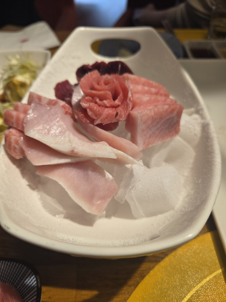 골드참치 사진 2