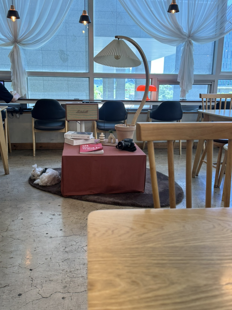 파스타인카페 사진 6