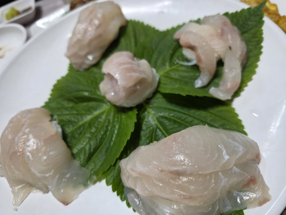 동백수산 1
