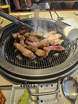 연남제비 대표 사진