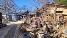 가랑잎새 5