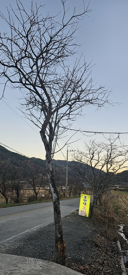 흥부네오리 2