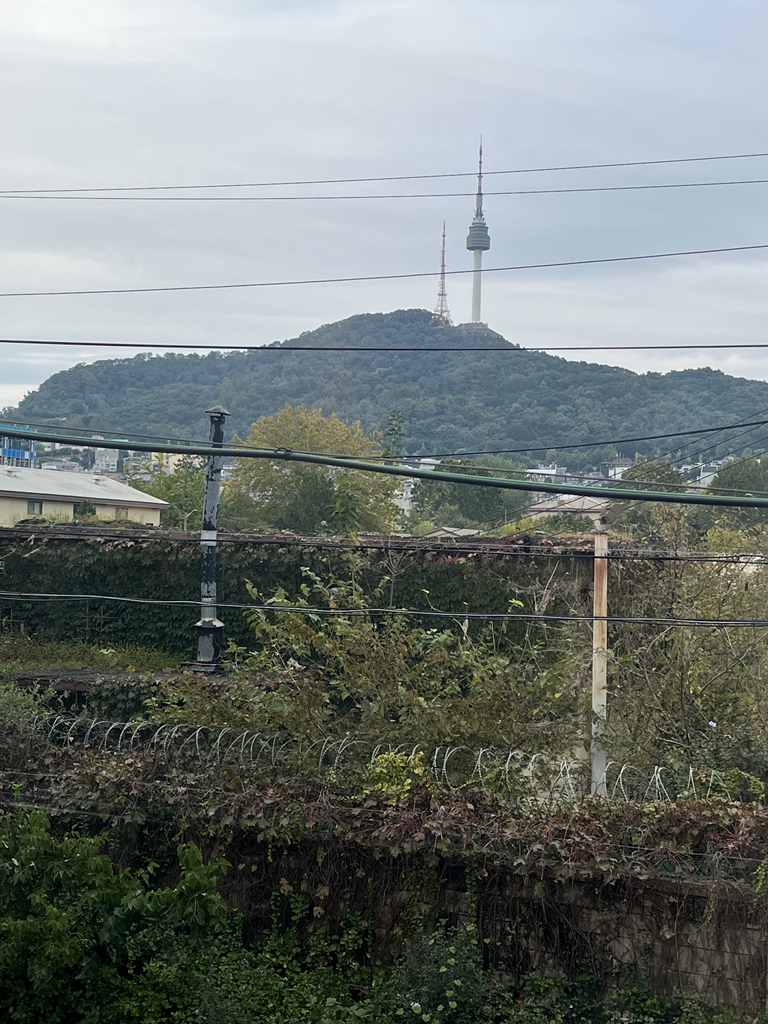 화이트락 사진 5