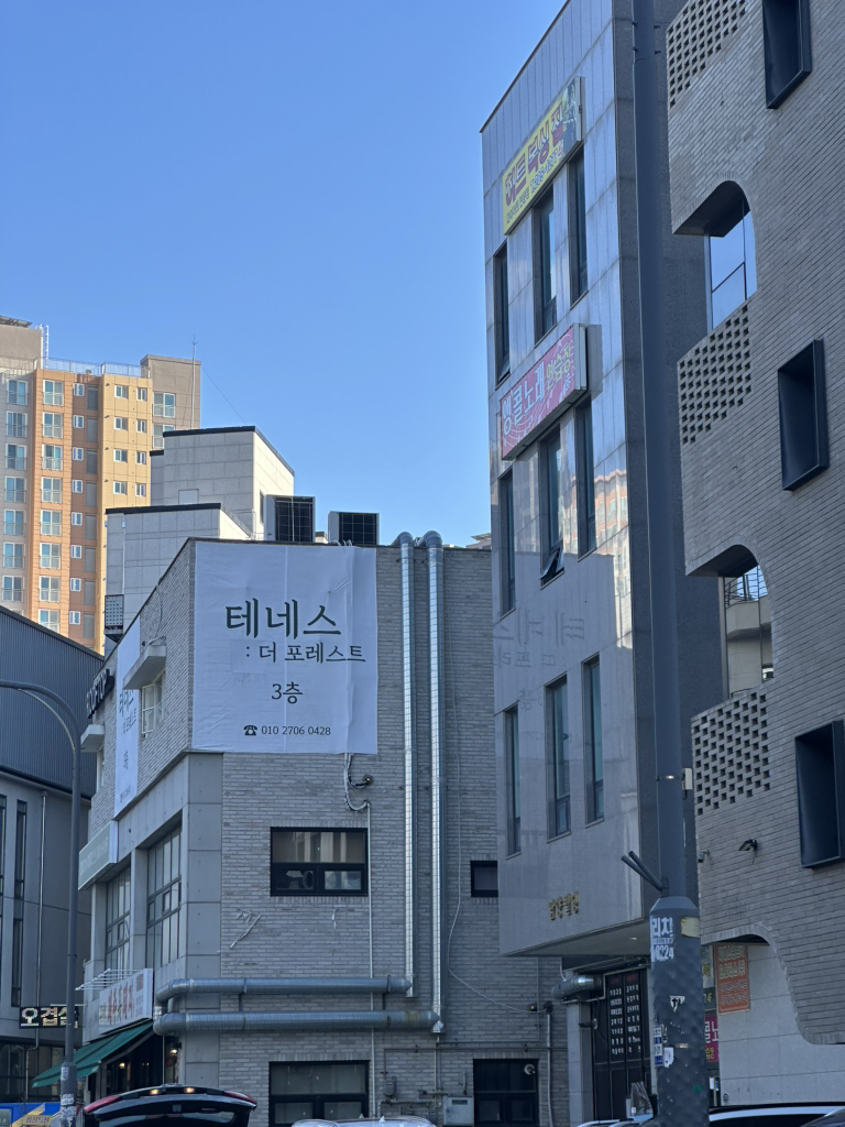 테네스 더 포레스트 신동 사진 5