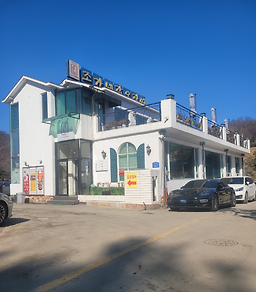 Joganegapojingeo (조가네갑오징어) 1