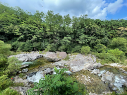 Songrimhoegwan (송림회관) 3