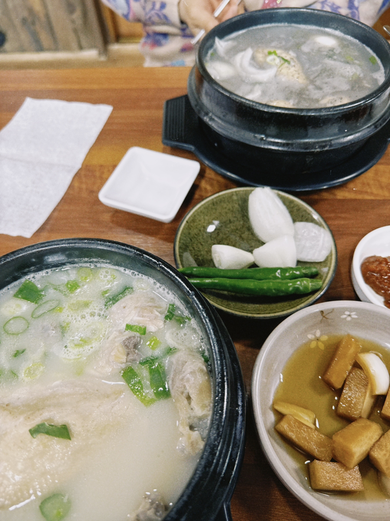 Hojaeotdak (호재옻닭) 3