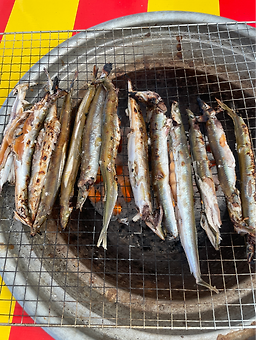 용신호