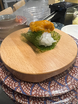 스시백과 사진 6
