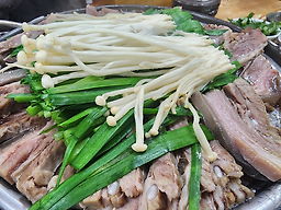 백세가 5