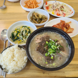 젬마손 사진 5