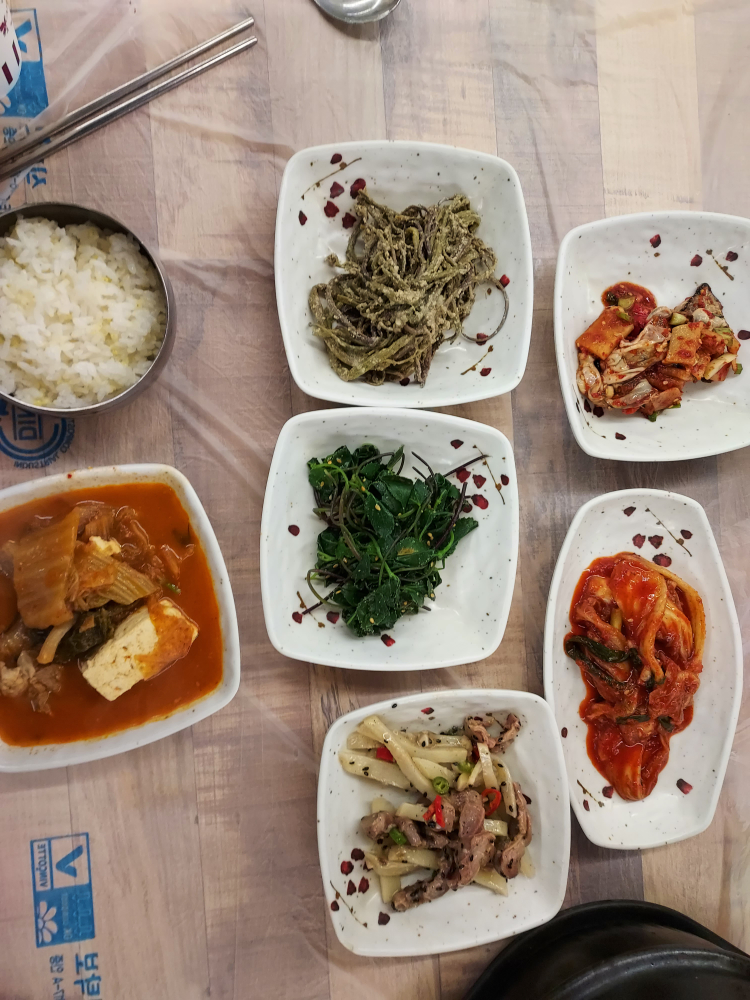 불목 5