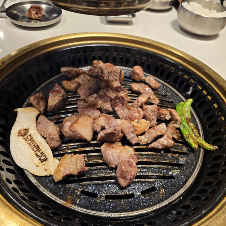 와싸라비아 2