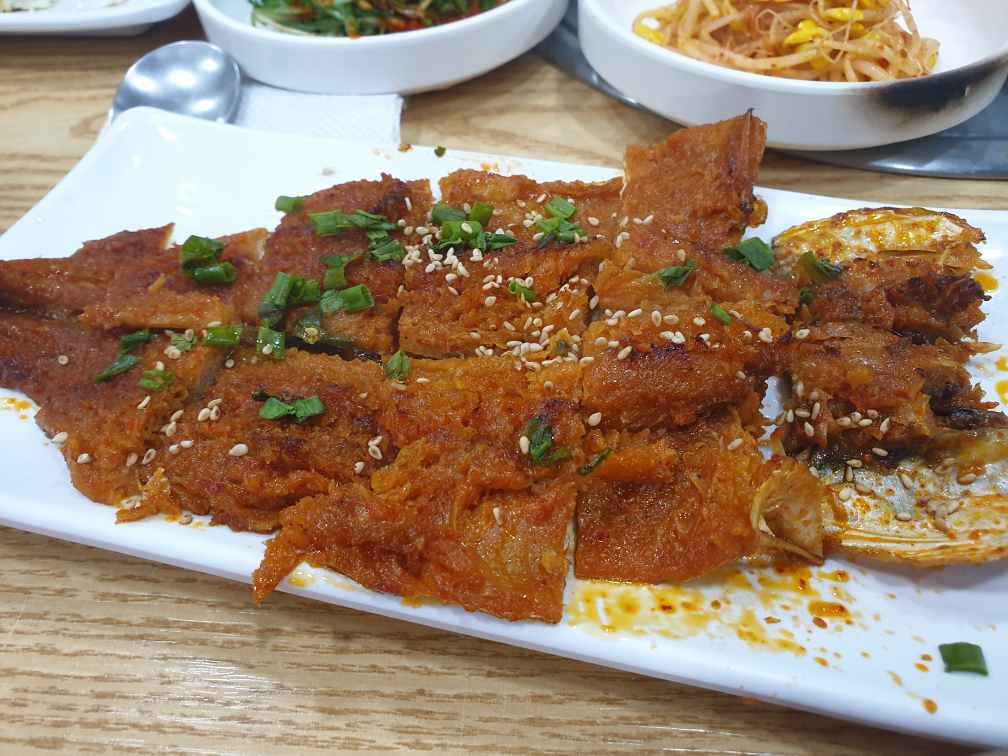 콩마당 5