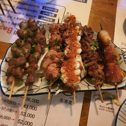 야젠 사진 4