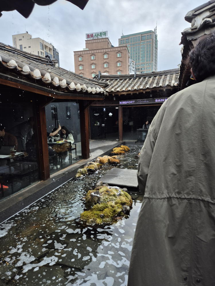 레인리포트 레인보우 사진 6