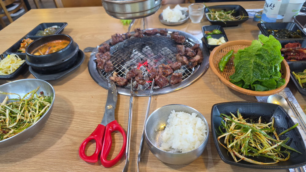 고기어때 사진 2