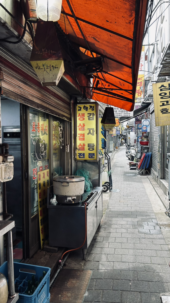 고향집 대표 사진