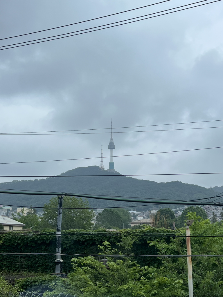 화이트락 사진 7