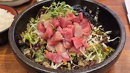 마츠리참치 5