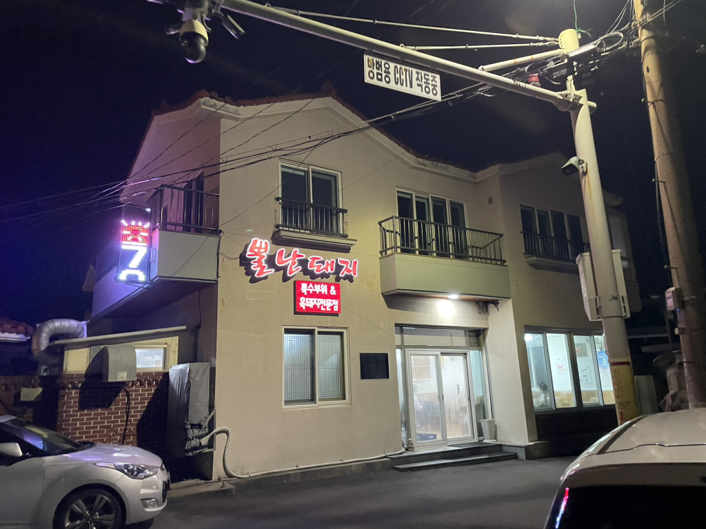 뿔난돼지 사진 4