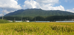 Dongilminmulsikdang (동일민물식당) 2