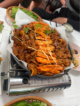 백양 4