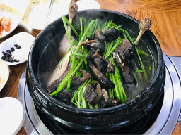 Gipiulori (깊이울오리) 1