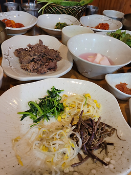 벽오동화순점 3