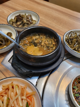 새싹보리밥 2