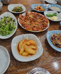 Sancheongyakchosikdang (산청약초식당) 3