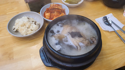영양센타 3