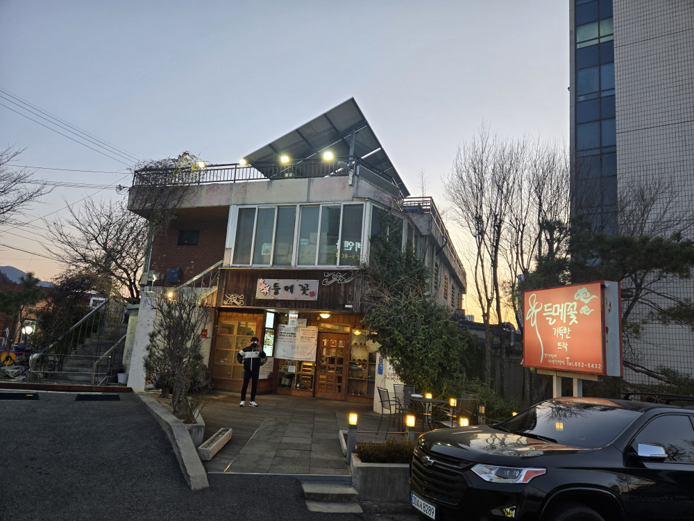 들메꽃 3