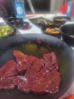 계수나무 2
