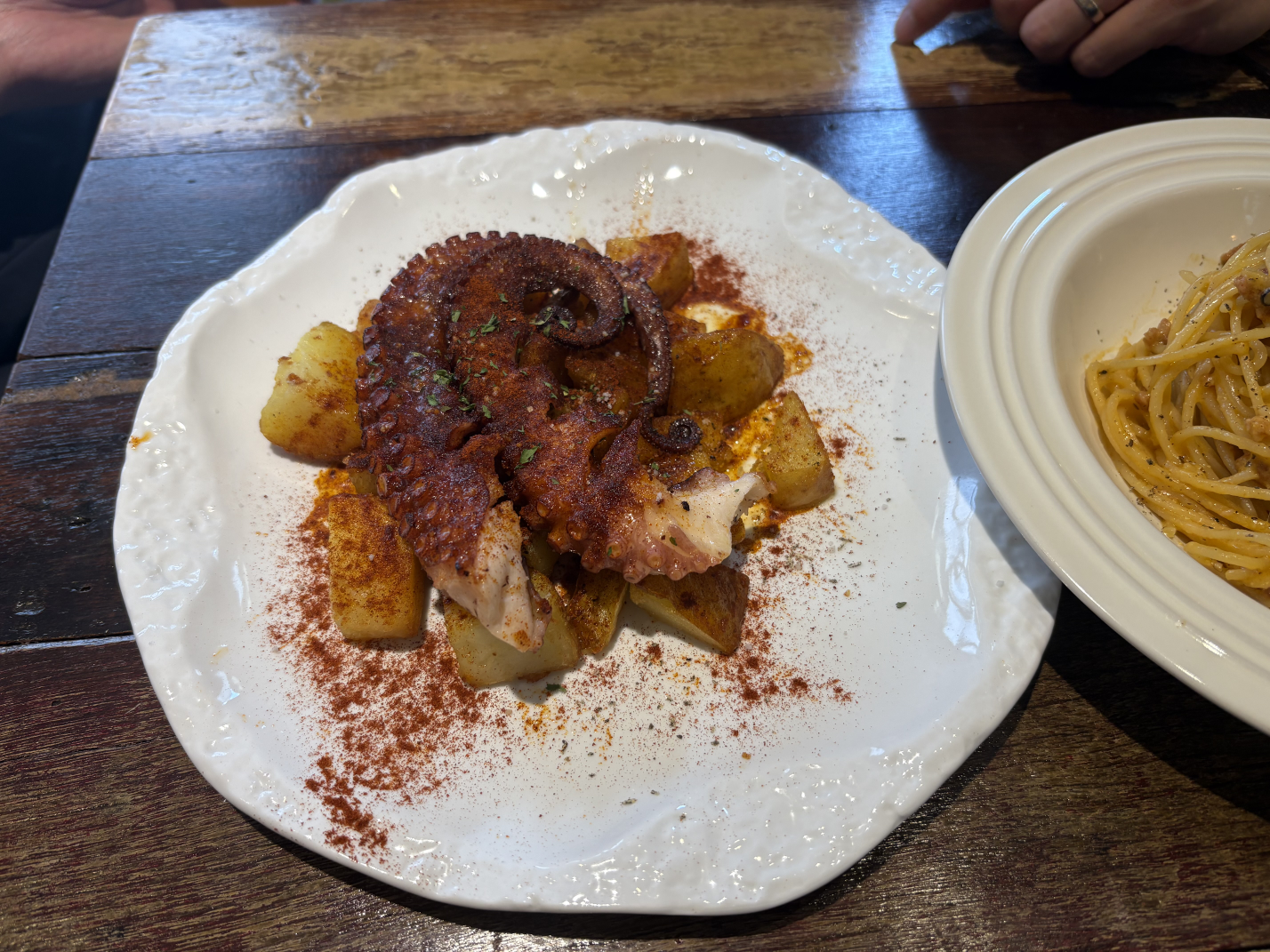 리코타파 사진 5