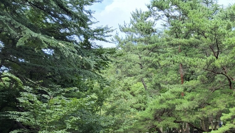 금오산고향촌식당 1