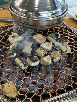 억조민물장어 6