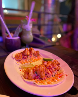 마할로 사진 6