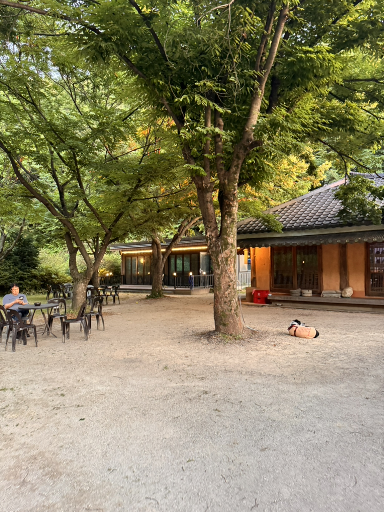 Gohyangganeungil (고향가는길) 2