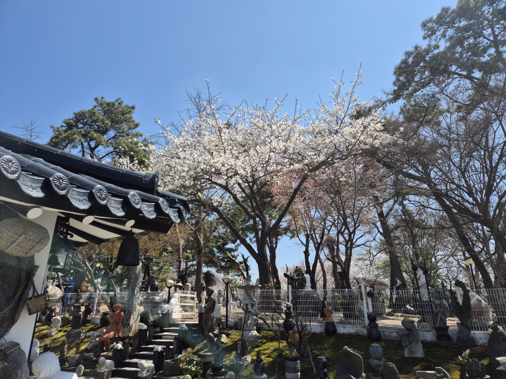 Donghaemakguksu (동해막국수) 3